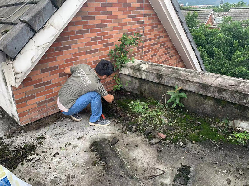陽光房漏水怎么徹底補救？重慶陽光房漏水維修公司哪家好